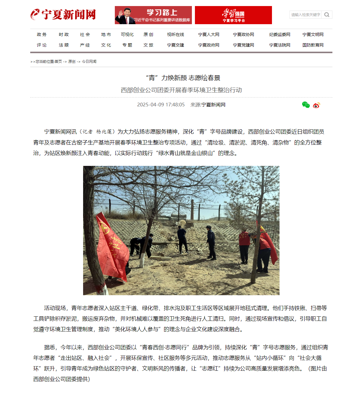 “青”力焕新颜 志愿绘春景-宁夏新闻网.png